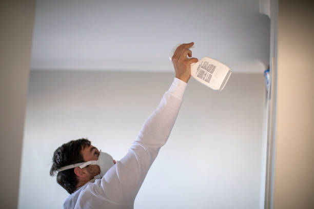 Best Local Mold Removal Service  in Durham, OR